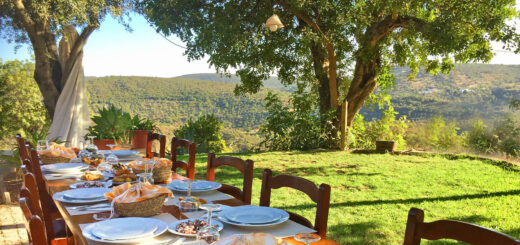 Gemütliches Abendessen mit Aussicht - Cornelia Hempel | erlebnisreisen-afrika.de