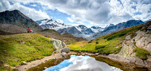 Martelltal - Amos - © Amos / Adobe.com | erlebnisreisen-afrika.de