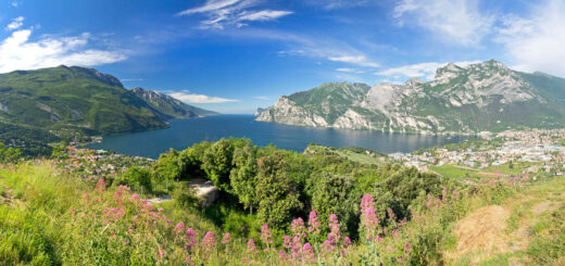 Blick auf Riva del Garda und Torbole - autofocus67 - © autofocus67 / Adobe.com | erlebnisreisen-afrika.de
