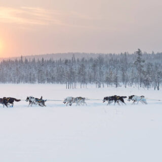 Huskyschlitten-Tour - Anna Öhlund - Anna Öhlund / imagebank.sweden.se | erlebnisreisen-afrika.de