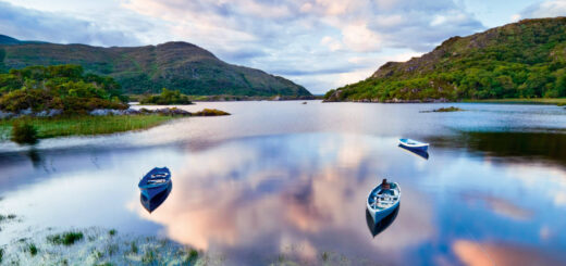 Killarney Nationalpark - Tiramisu Studio | erlebnisreisen-afrika.de