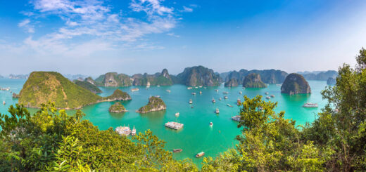 Blick auf die Halong-Bucht - Sergii Figurnyi - Sergii Figurnyi /Adobe.com | erlebnisreisen-afrika.de