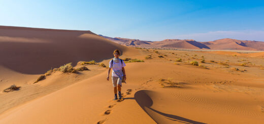 Dünen von Sossusvlei - Fabio lamanna - © fabio lamanna / adobe.com | erlebnisreisen-afrika.de