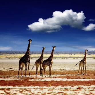 Namibia Gruppenreise 2025