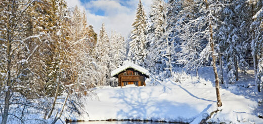 Winter im Nationalpark Bayerischer Wald - Gert Krautbauer - © Bayern.by / Gert Krautbauer | erlebnisreisen-afrika.de