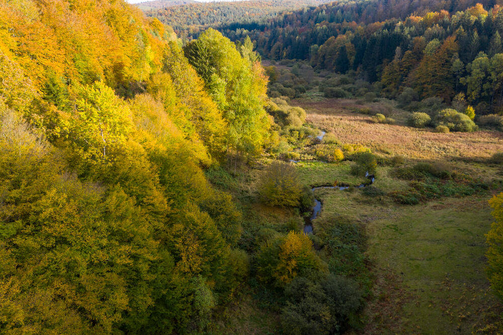 Hafenlohrtal im Spessart - Holger Leue - © Holger Leue / Touristikverband e.V. Räuberland | erlebnisreisen-afrika.de