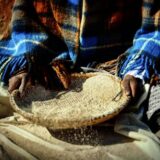 Botswana deutschsprachig gefuehrte Studienreisen 2025 /2026  | Erlebnisreisen-Afrika.de