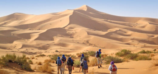 Wanderung in der Wüste - Dieter Grimm | erlebnisreisen-afrika.de