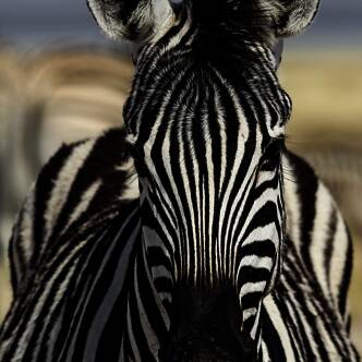 Namibia-Rundreise-3