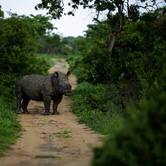 Südafrika deutschsprachig gefuehrte Gruppenreise 2025/2026 | Erlebnisreisen-Afrika
