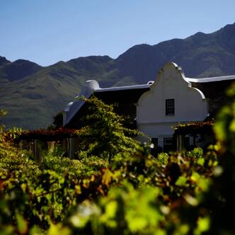 Südafrika deutschsprachig gefuehrte Studienreisen 2025/2026  | Erlebnisreisen-Afrika