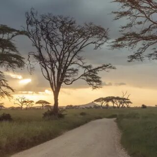 Tansania Gruppenreise 2024/2025 | Erlebnisreisen-afrika.de