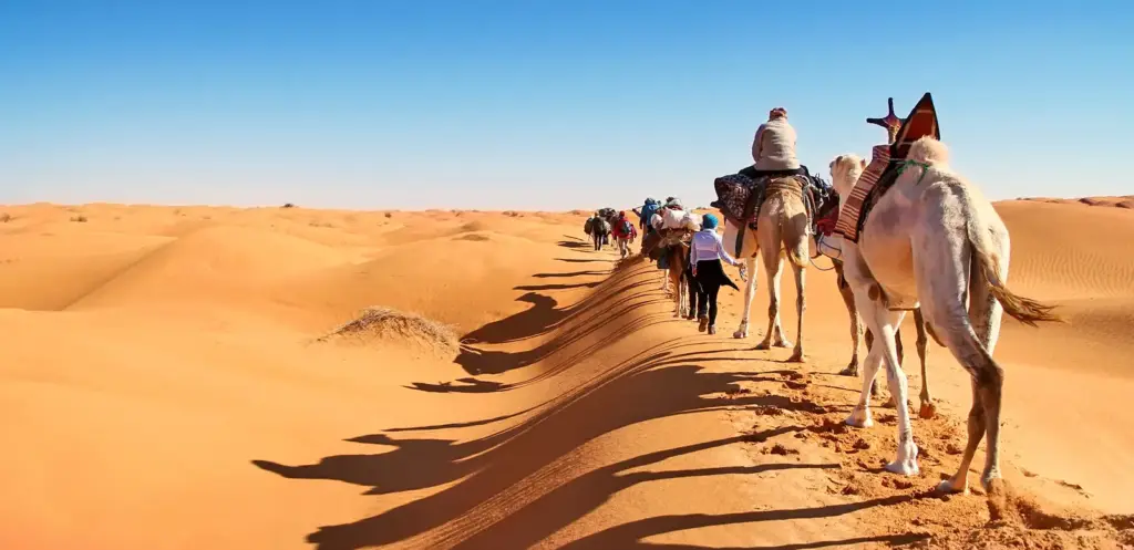 Kamelkarawane auf der Düne - Hartmut Bartelt | erlebnisreisen-afrika.de