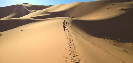 Hoch hinaus in der Erg Chebbi Wüste - Anja Riemann | erlebnisreisen-afrika.de