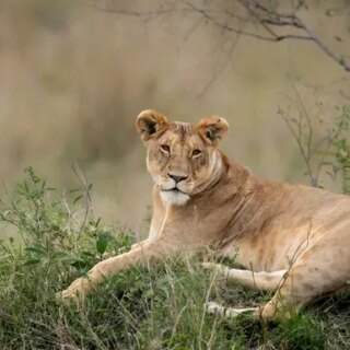 Südafrika Gruppenreise 2026/2027 | Erlebnisreisen-afrika.de