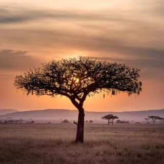 Tansania Gruppenreise 2026/2027 | Erlebnisreisen-afrika.de