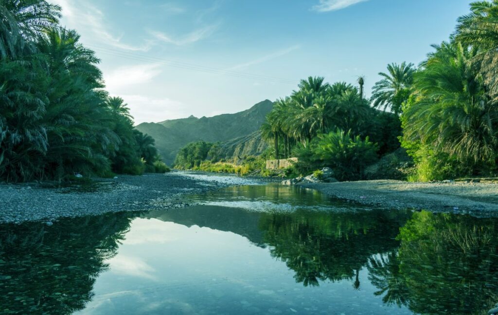 Wadi Bani Khalid am Morgen