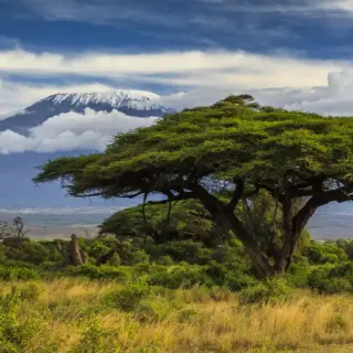 Kilimanjaro - Anton Petrus - © Anton Petrus /Adobe.com | erlebnisreisen-afrika.de