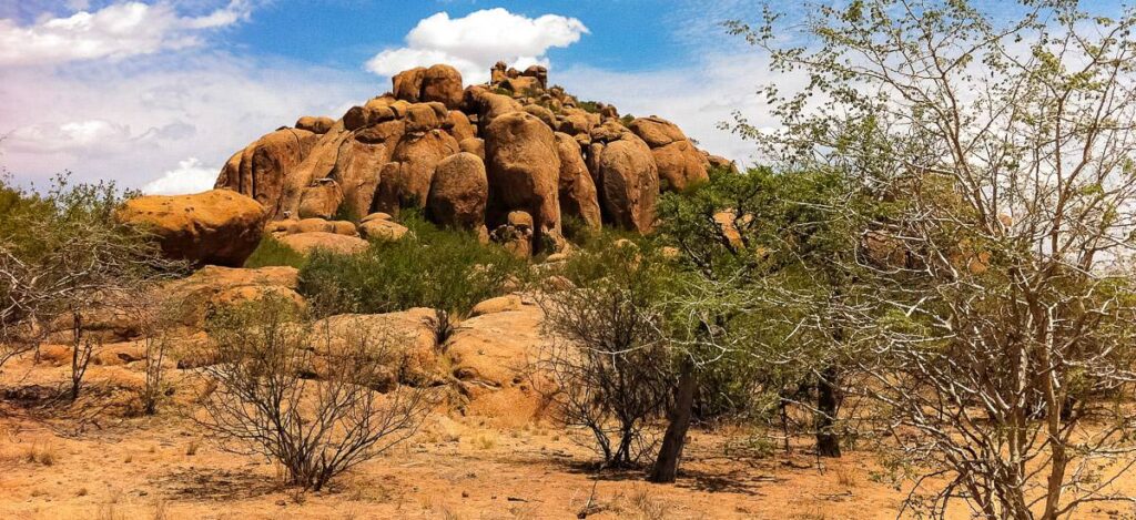 Kleingruppenreise  2025 / 2026 | Erlebnisreisen-Afrika.de