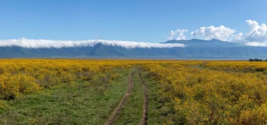 Kenia Gruppenreise 2026/2027 | Erlebnisreisen-afrika.de