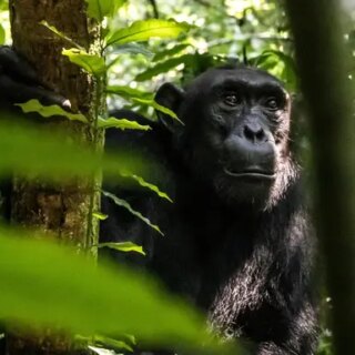 Kenia Gruppenreise 2026/2027 | Erlebnisreisen-afrika.de