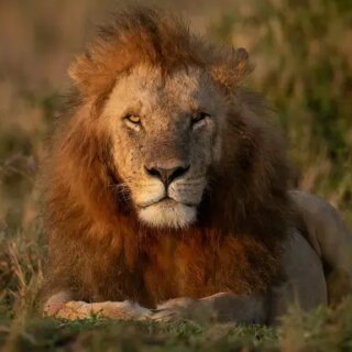 Kenia Gruppenreise 2026/2027 | Erlebnisreisen-afrika.de