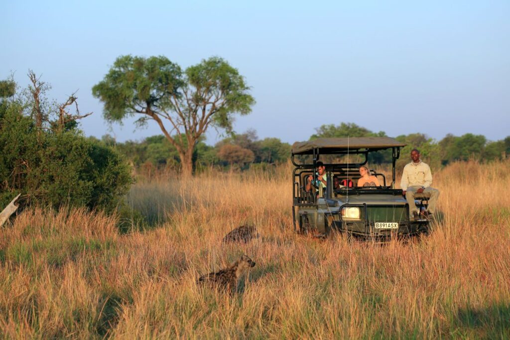 Reisetraum Botswana – statt träumen selbst erleben …