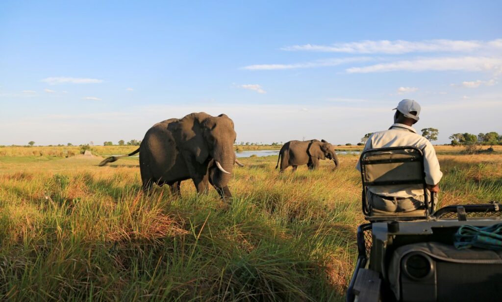 Reisetraum Botswana – statt träumen selbst erleben …