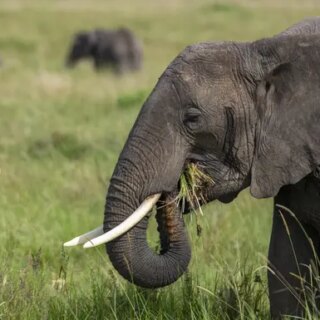 Tansania Gruppenreise 2026/2027 | Erlebnisreisen-afrika.de