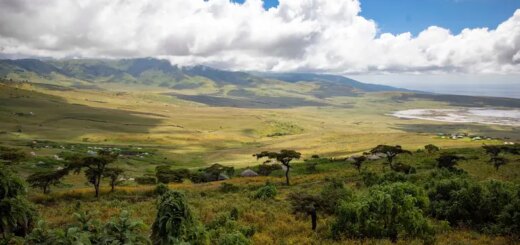 Tansania Gruppenreise 2026/2027 | Erlebnisreisen-afrika.de
