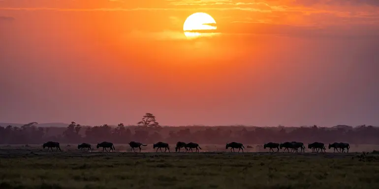 Tansania Erlebnisreise 2026/2027 | Erlebnisreisen-afrika.de