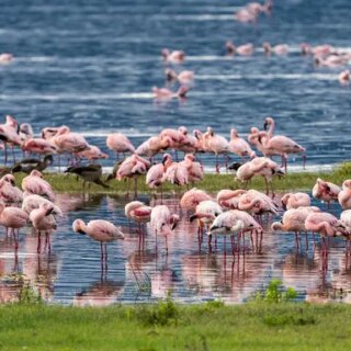 Tansania Gruppenreise 2026/2027 | Erlebnisreisen-afrika.de