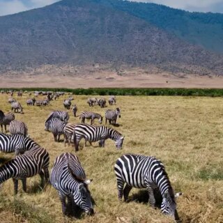 Tansania Gruppenreise 2026/2027 | Erlebnisreisen-afrika.de