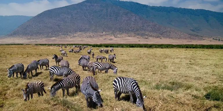 Tansania Erlebnisreise 2026/2027 | Erlebnisreisen-afrika.de