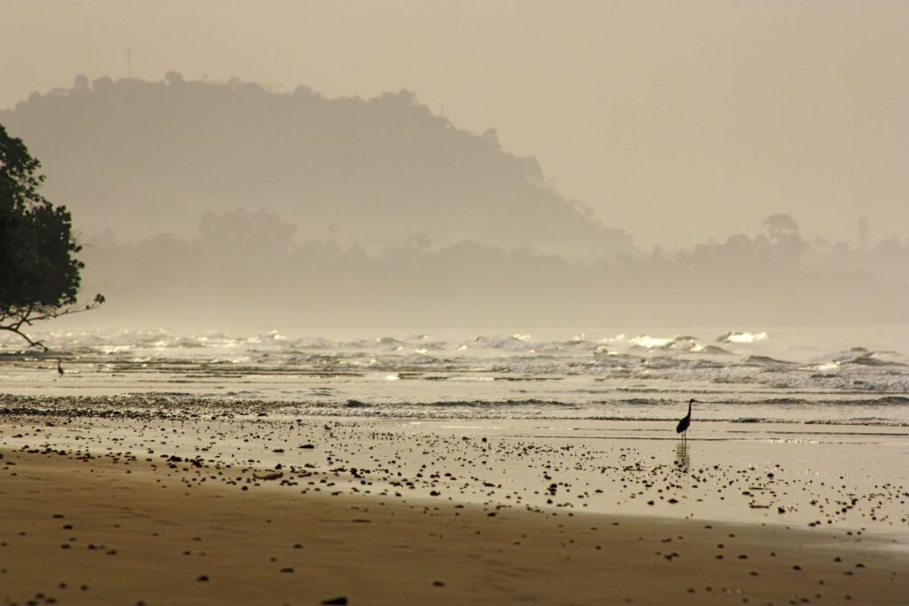 Am Strand von Limbe